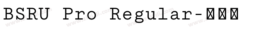 BSRU Pro Regular字体转换